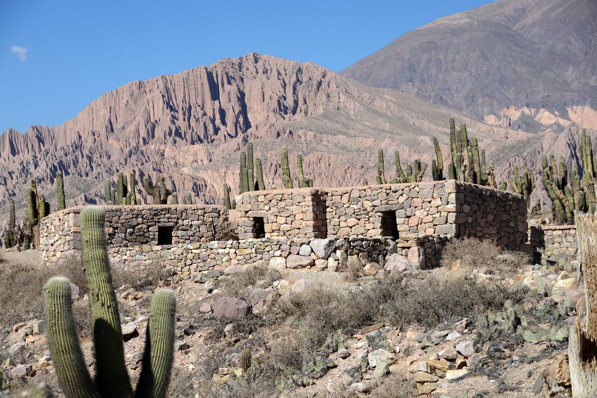 11 Giant Cactus And Some Of The Restored Buildings At Pucara de Tilcara In Quebrada De Humahuaca